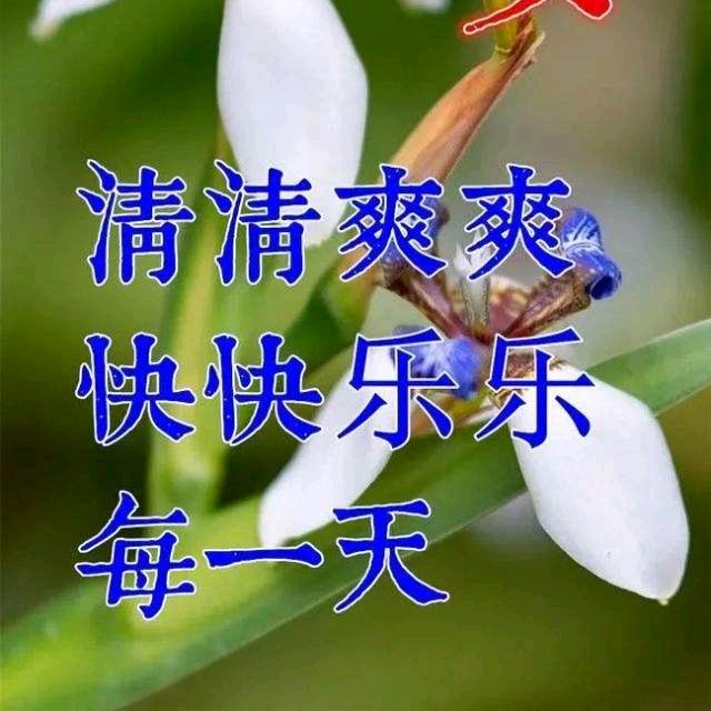 厦门楼市一二手房