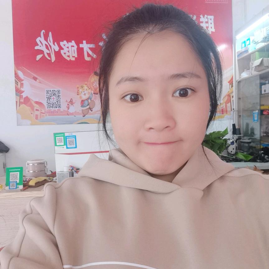 洪飞科技