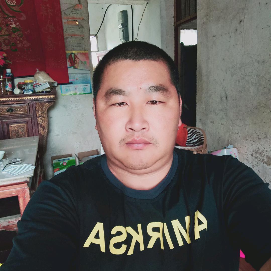 随风起舞
