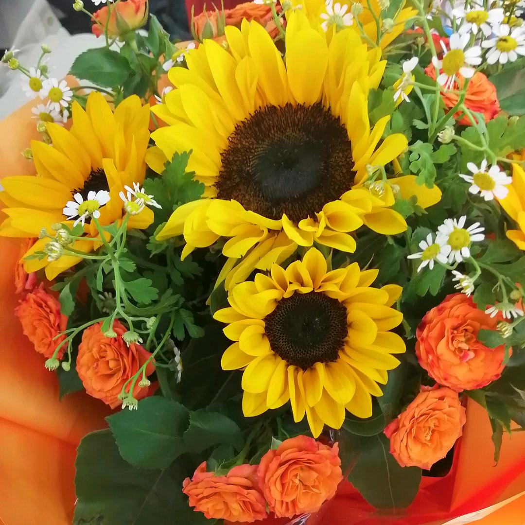 🕊张ℒℴѵℯ·刘¹³¹⁴ృ༊