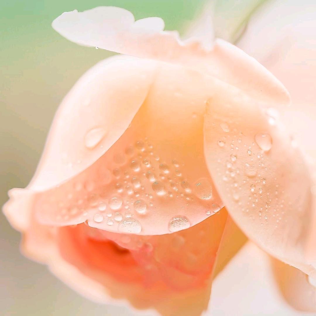 欢儿（有关必回）请互关