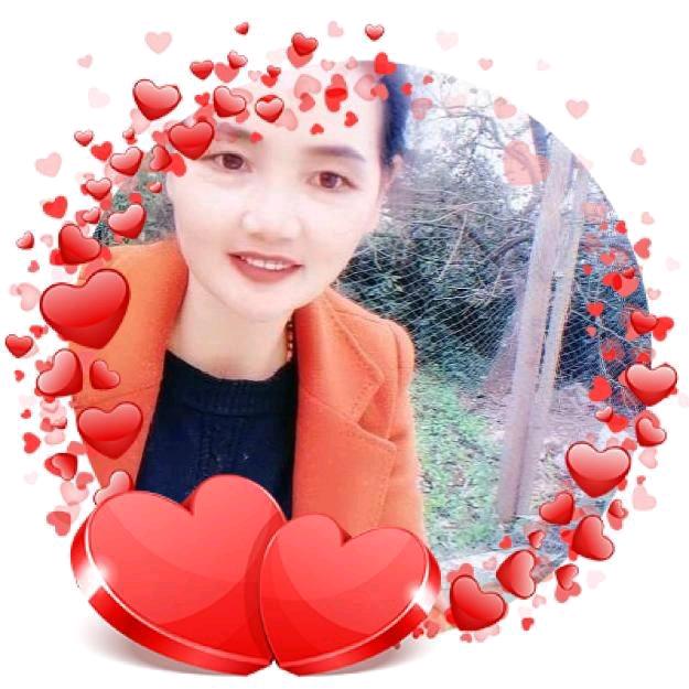 富贵花开