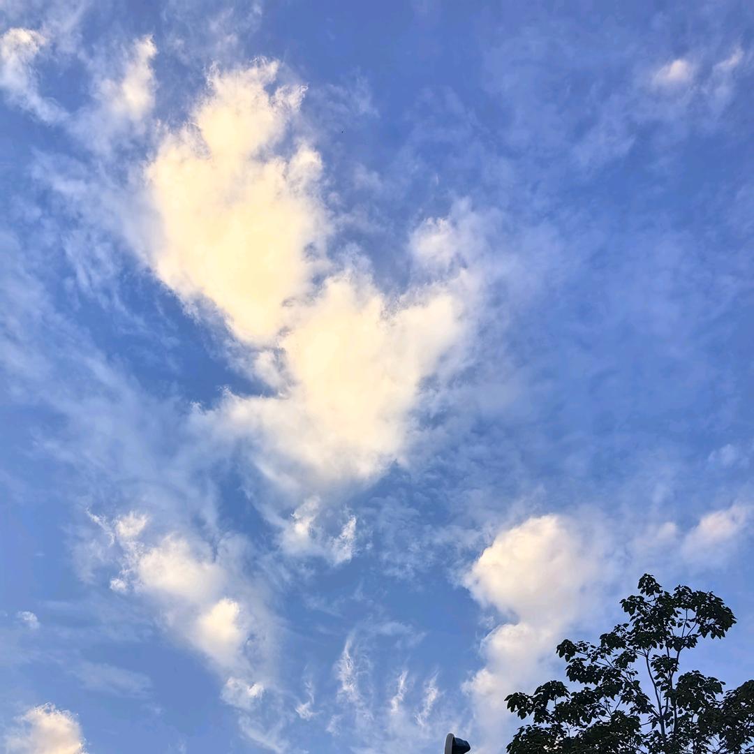 睿宝