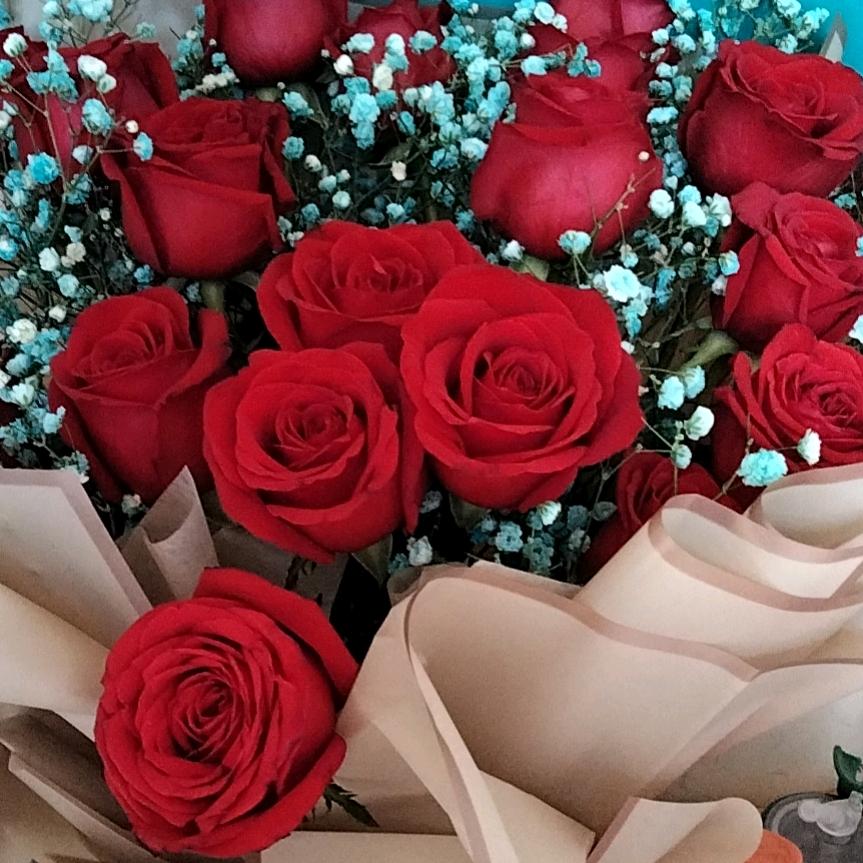 维修年检灭火器