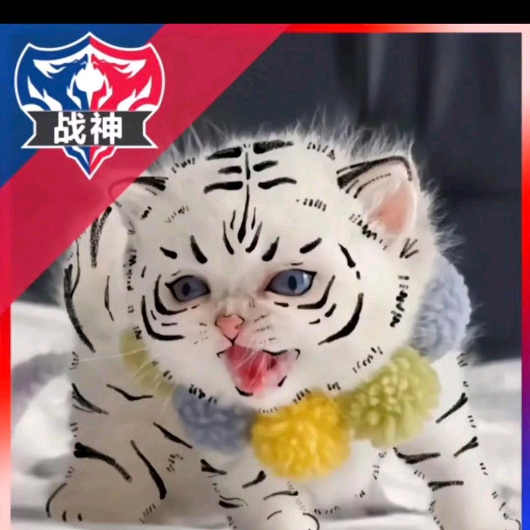 重生之我在体🌈做销售