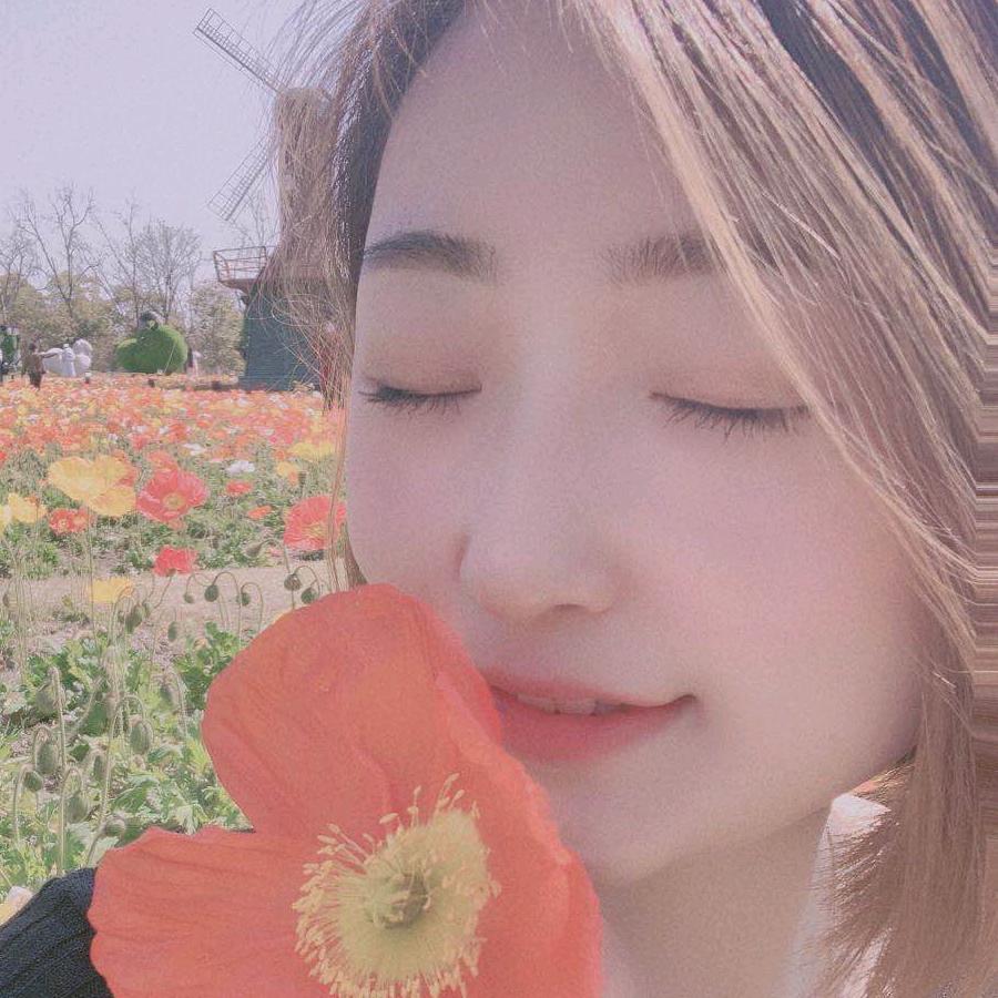 心之所向，便是光