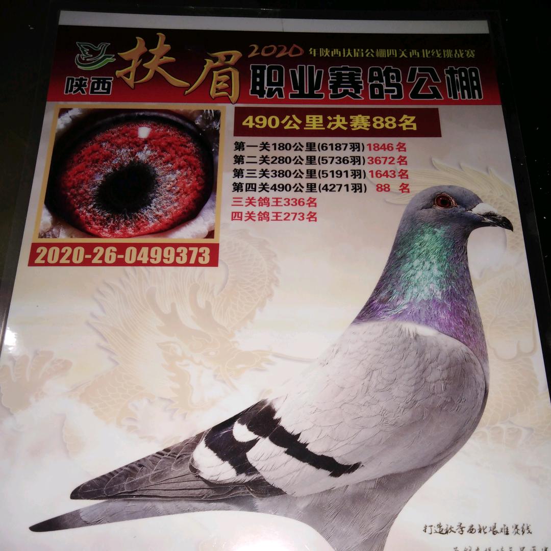 开心老头