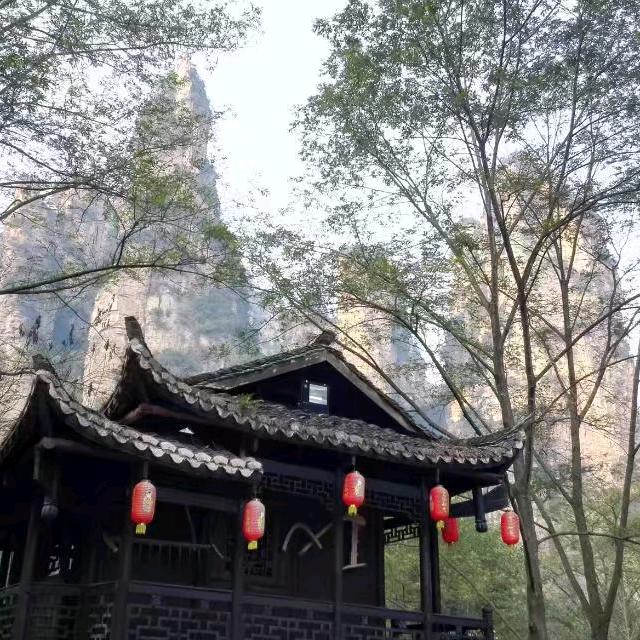 心水浪子