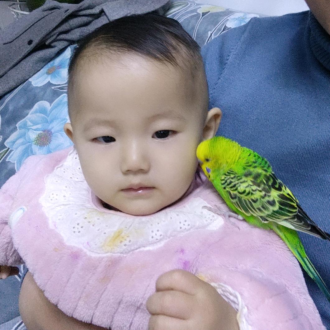 快乐的鱼🐠