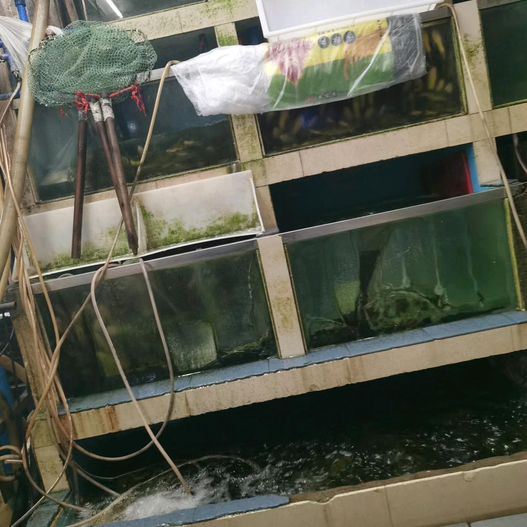 柏哥