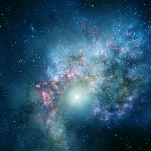 东街小狗餐饮服务队