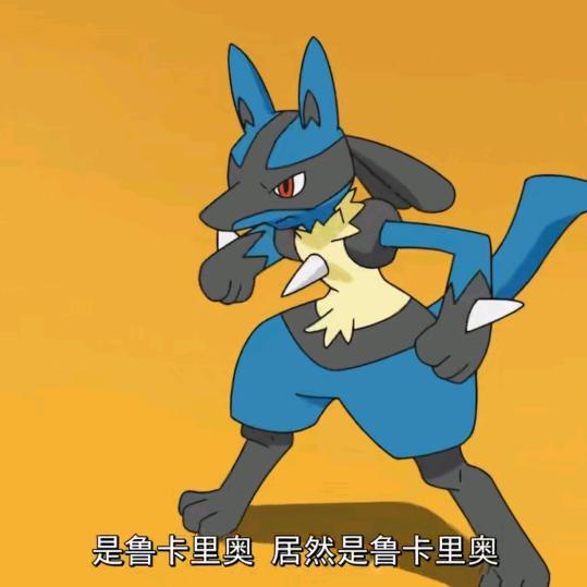亚飞头像