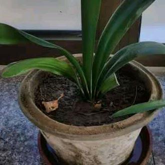 瑶瑶