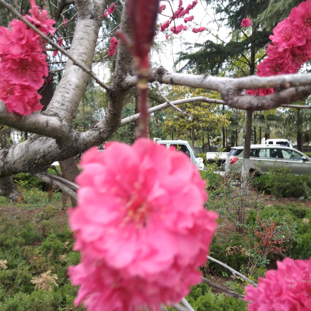 家里有两个小宝贝