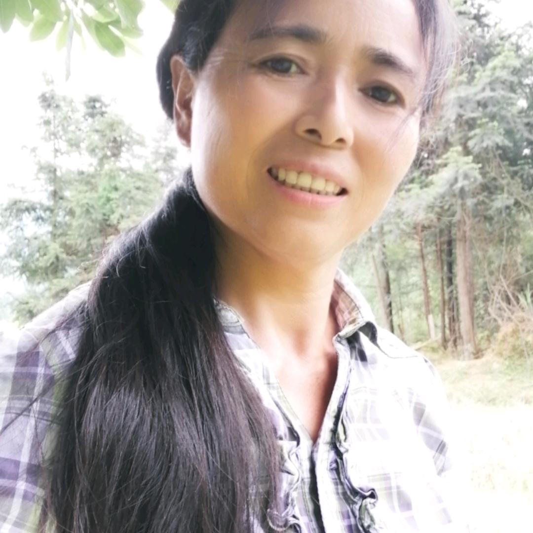 山里大姐