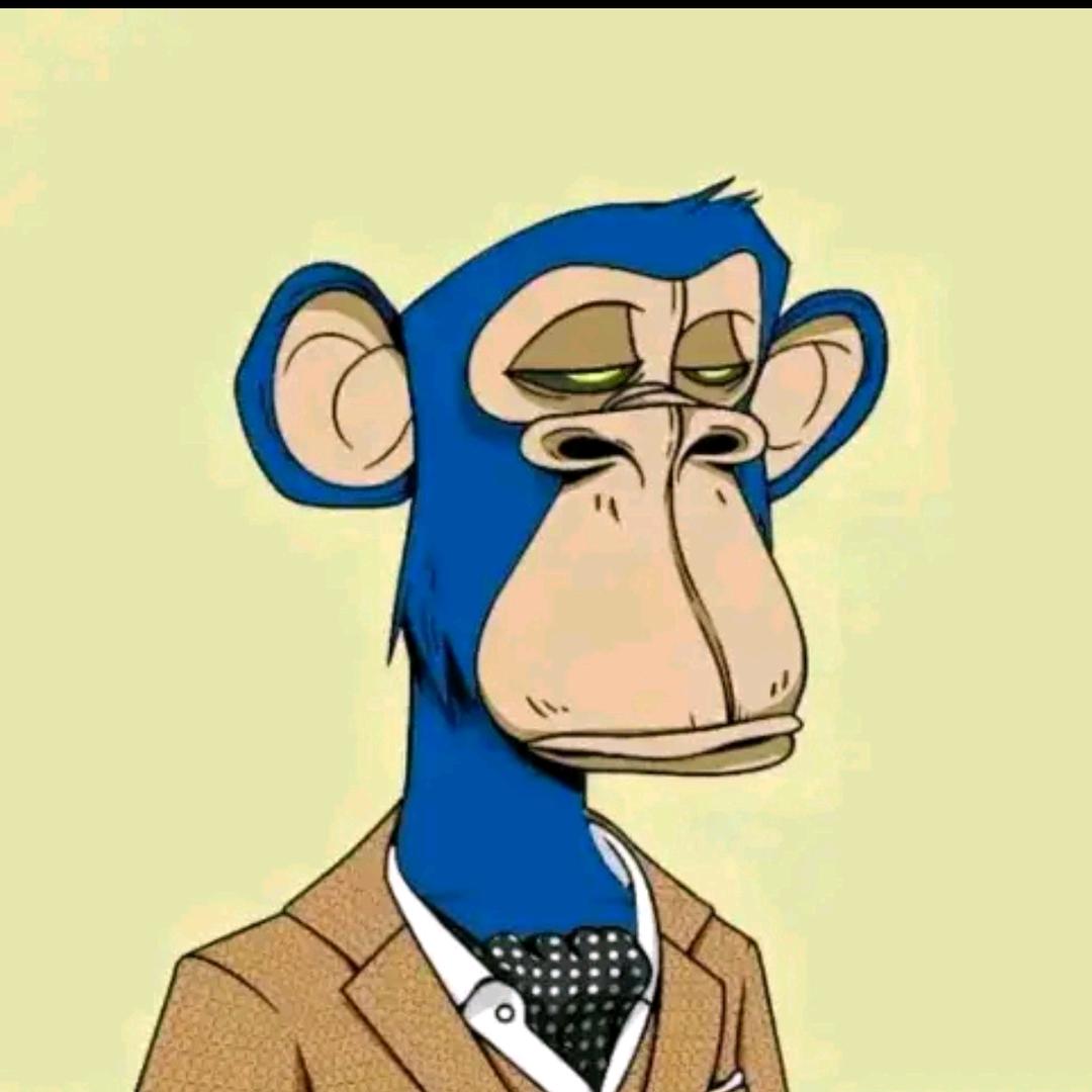 宝鸡德奥达奥迪-任伟强       ༽