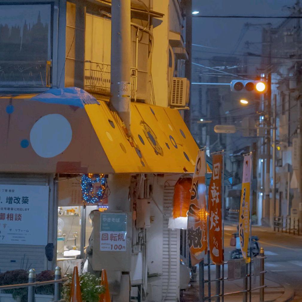 花开半夏🌇