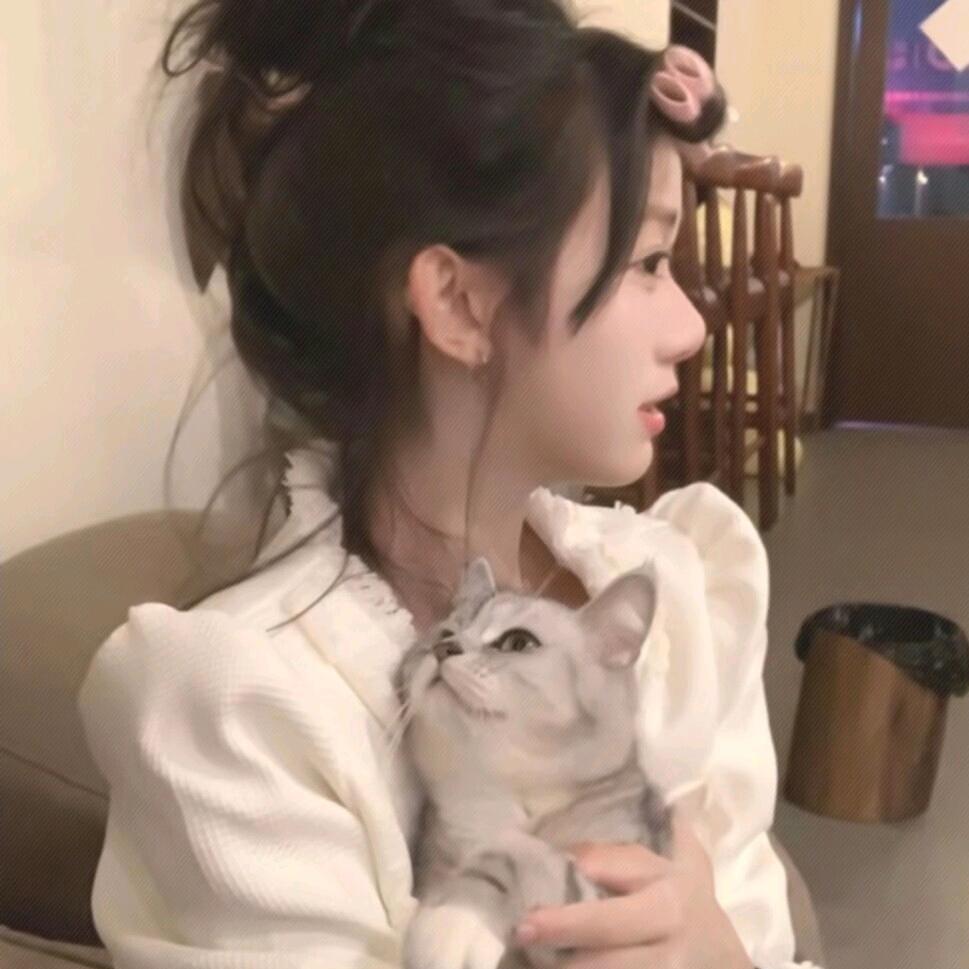 么凹猫🐰