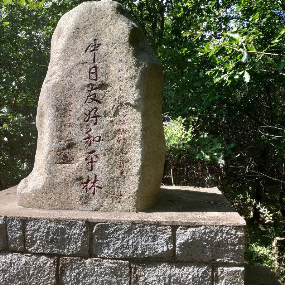 快乐老头