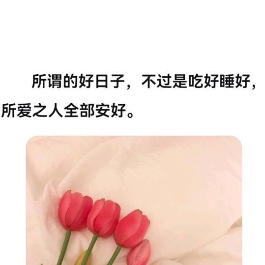 云儿