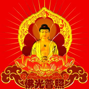 眼镜达人毛世强专家验光配镜，镜我所能！