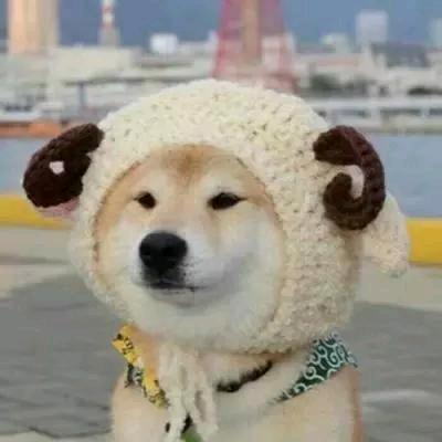 画大饼之王