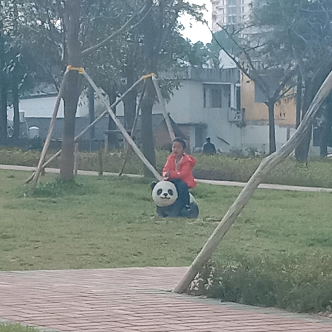 路豪