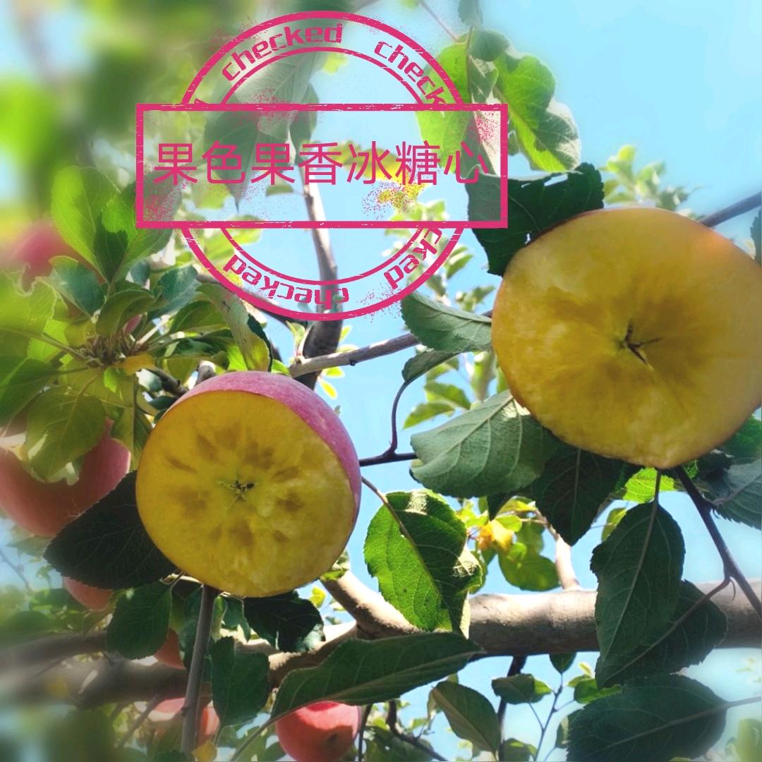 果色果香食品精选小铺