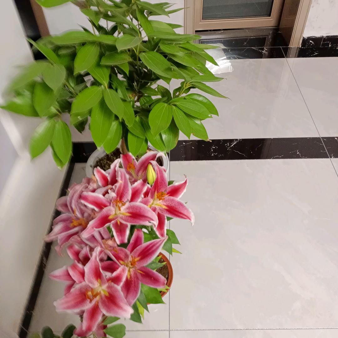 💞微笑🎀🎁前行👑