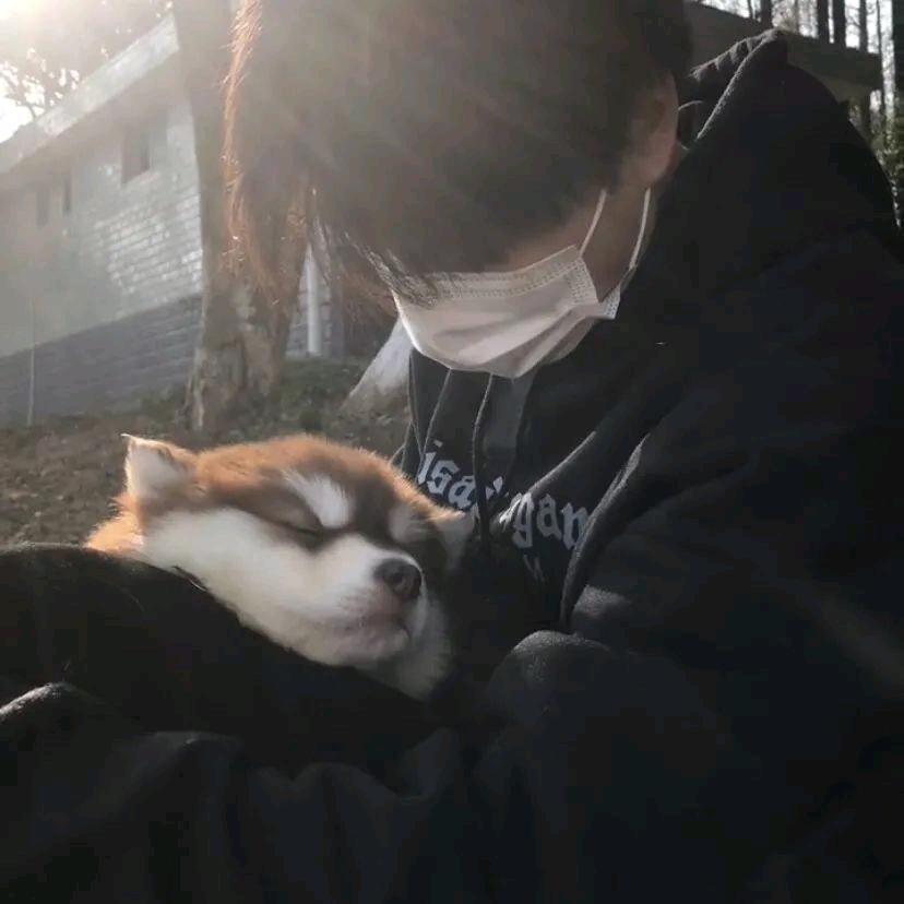 小杨睡不着