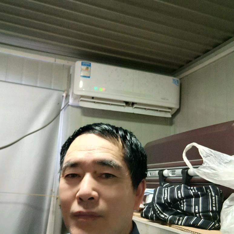 杨哥