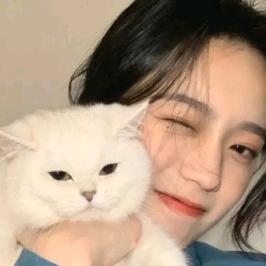 乐乐