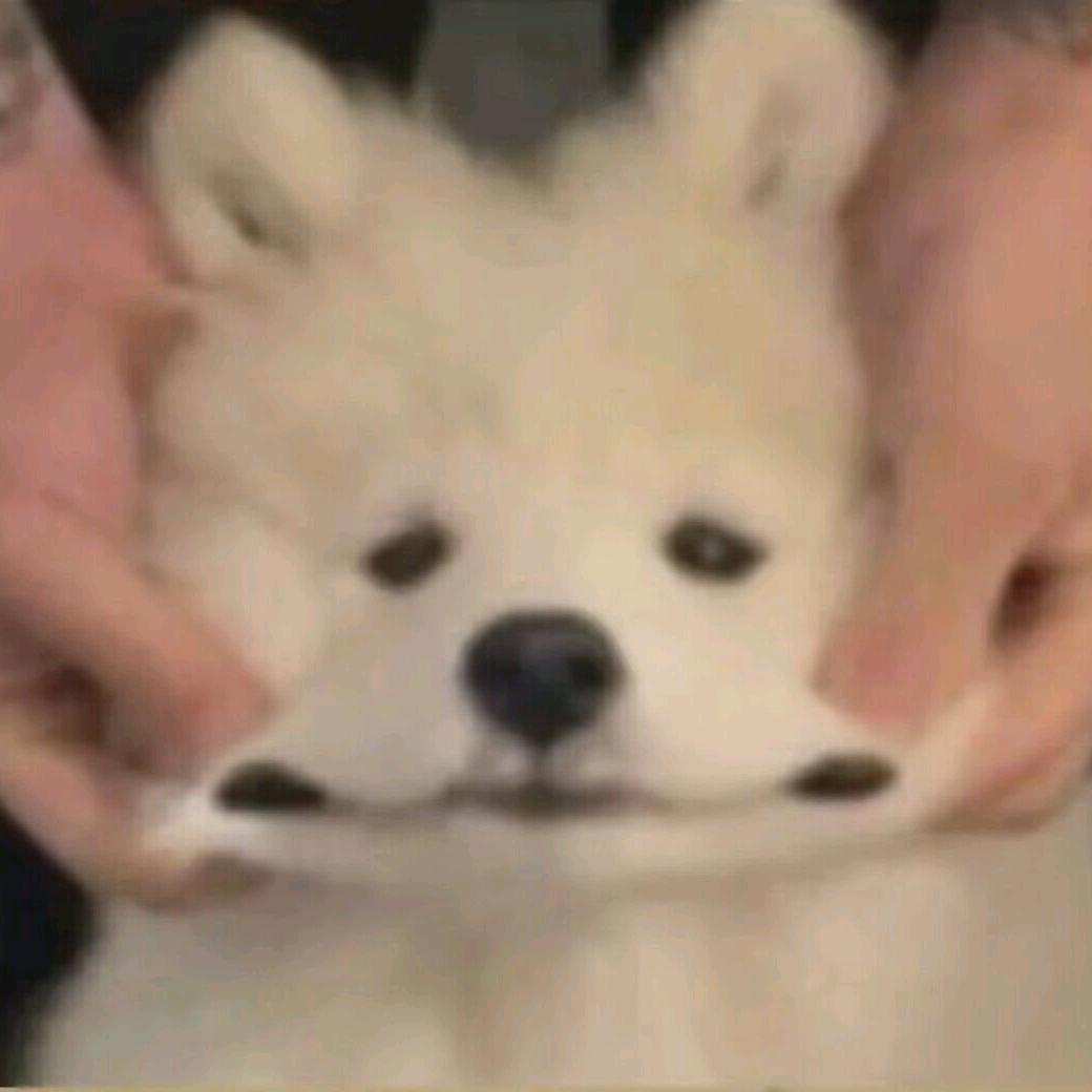 白囧