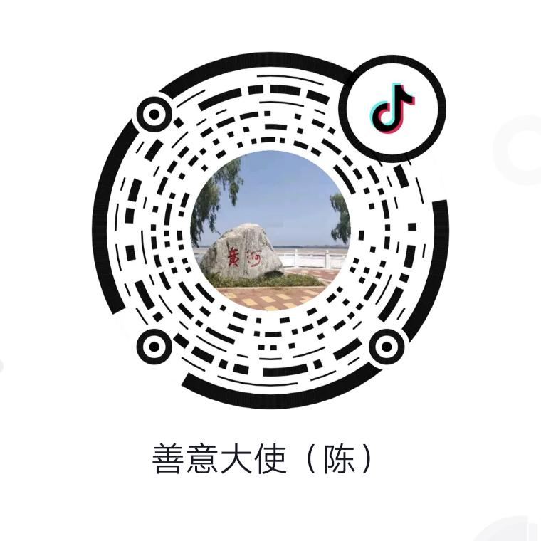 善意大使（陈）