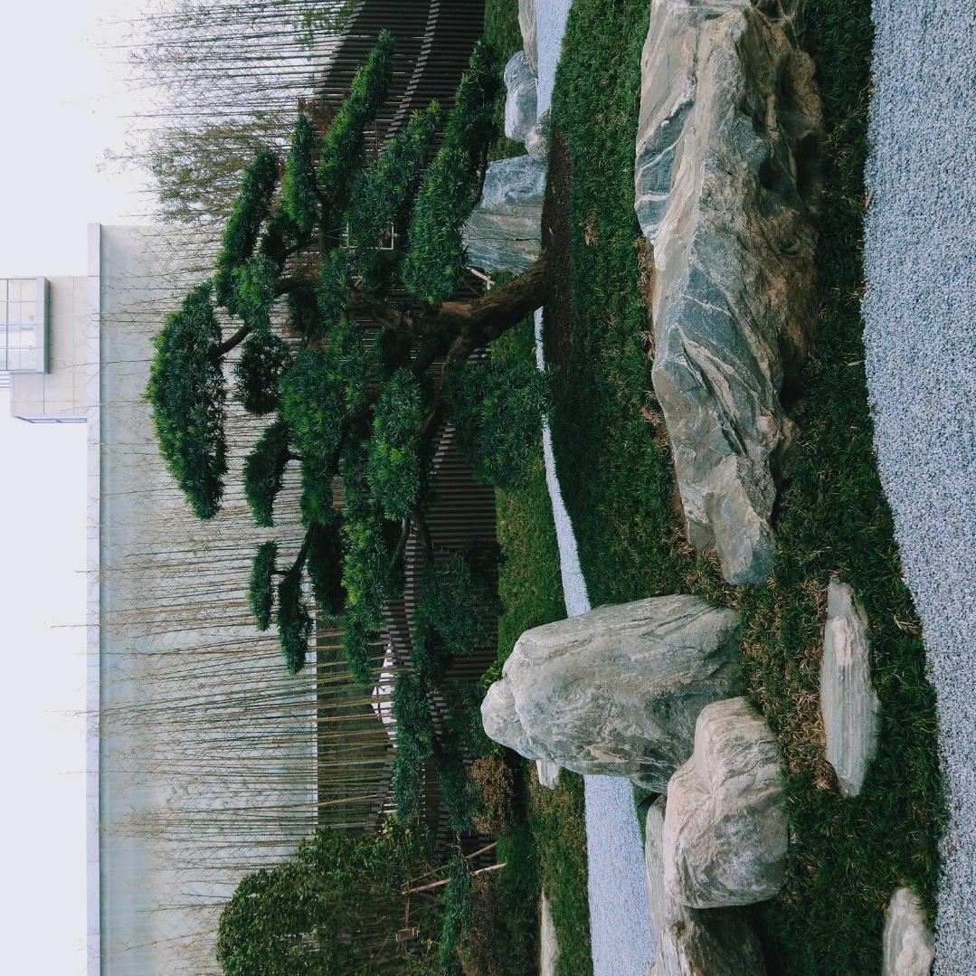 看不完的风景～留不住的岁月