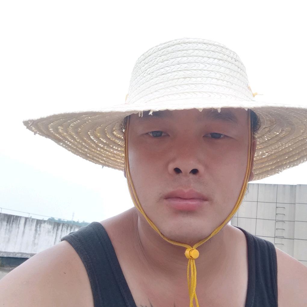 用户龙
