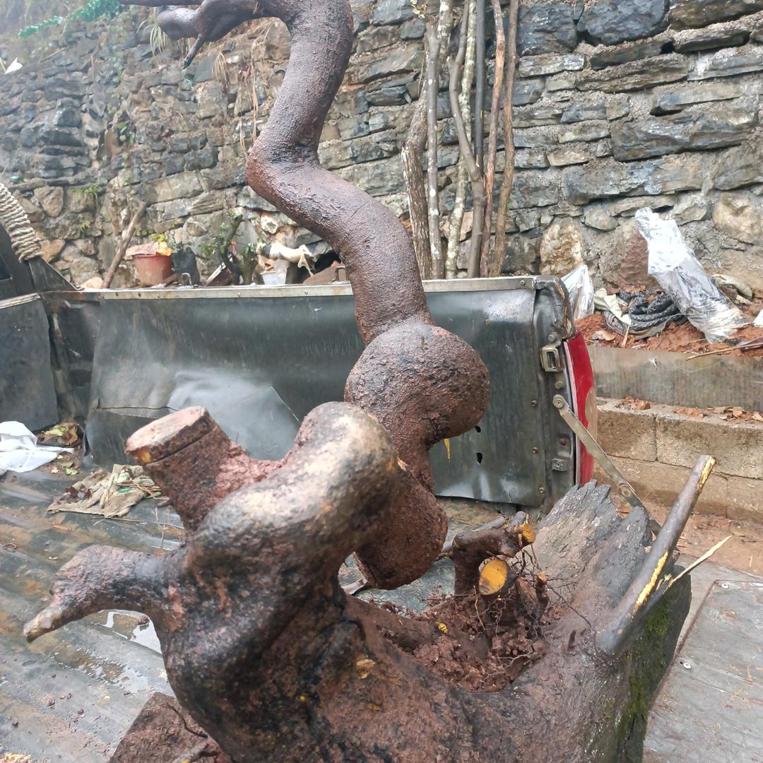 小品金蛋子素材