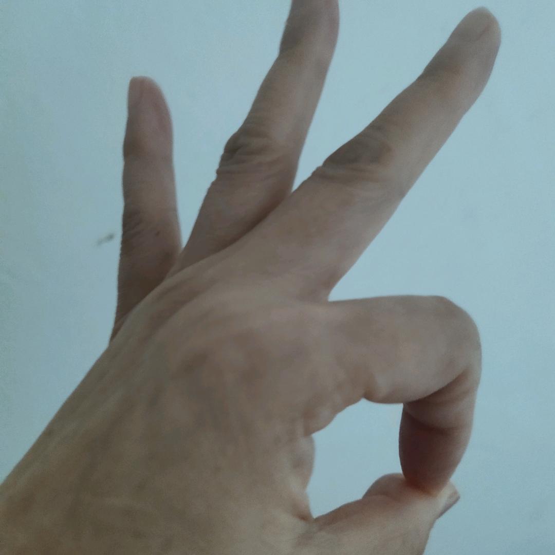 红枫叶