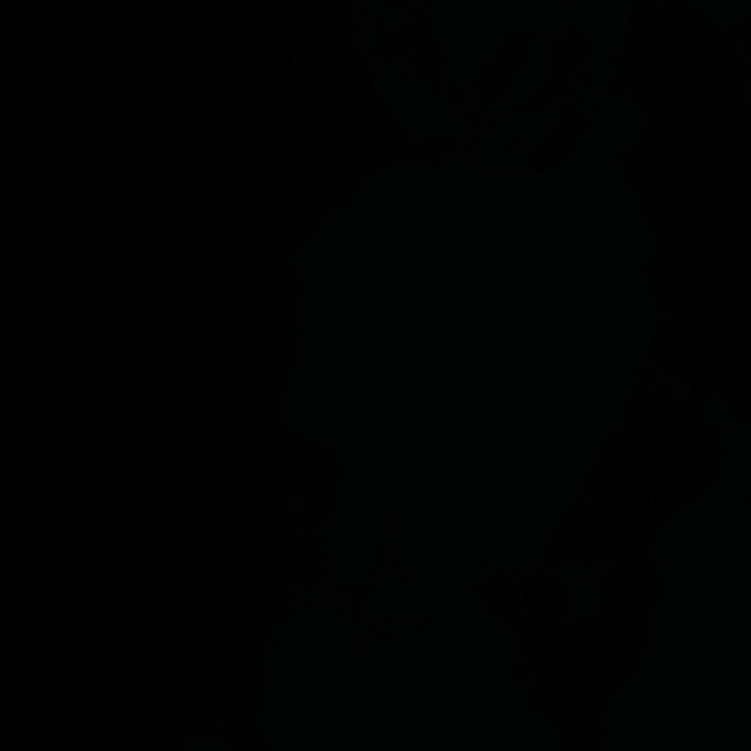 努力奋斗得年轻人