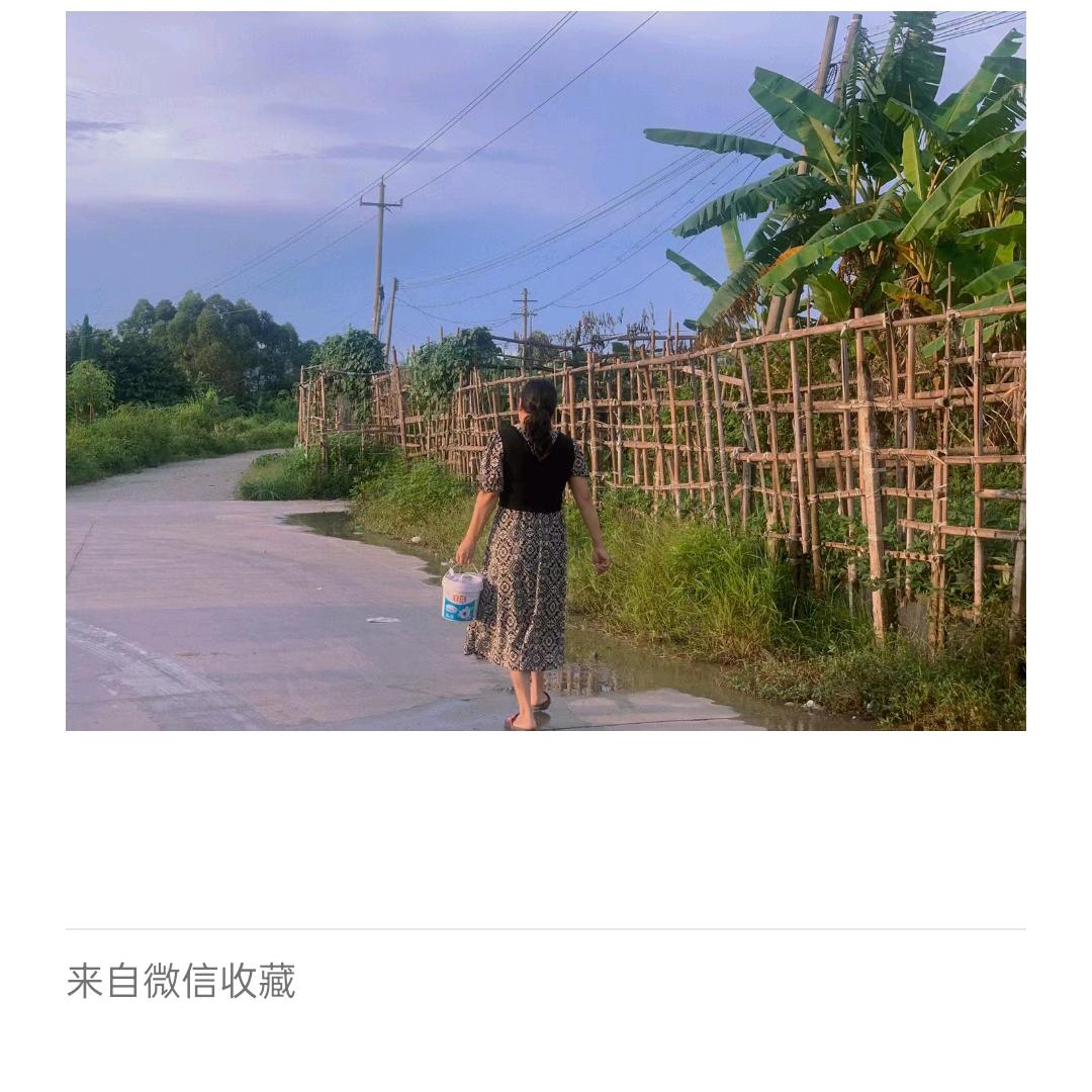 全哥