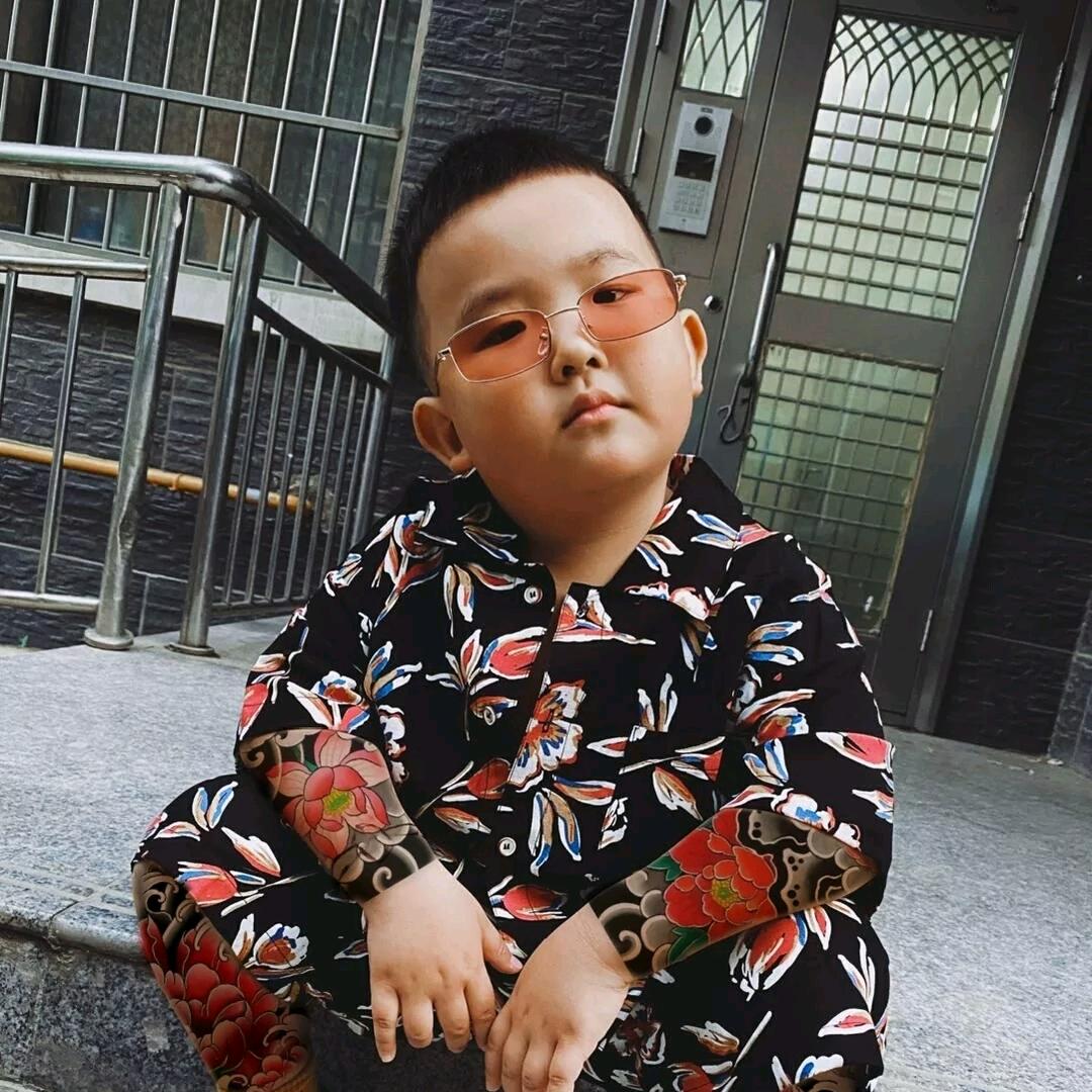 ⚜️柴柴