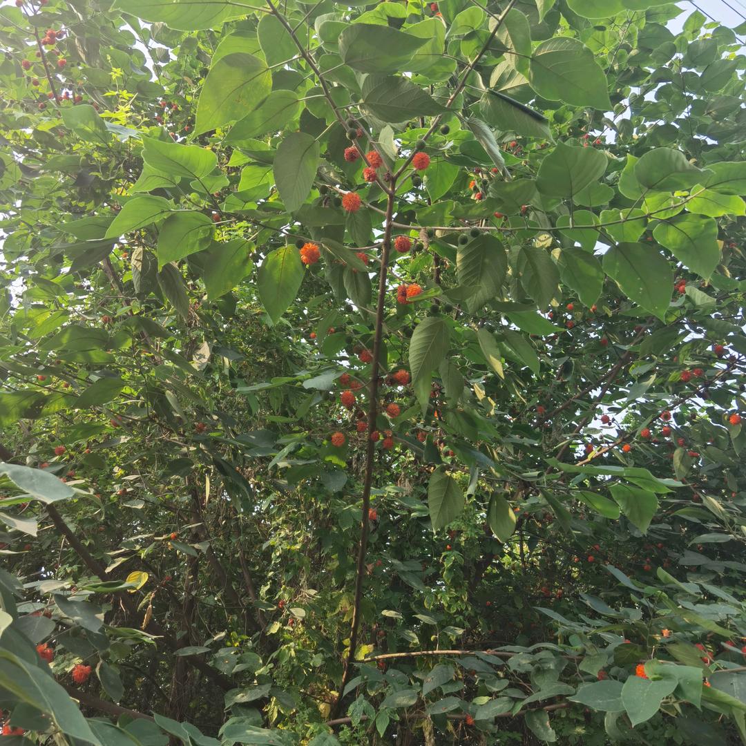 轻舟已过万重山