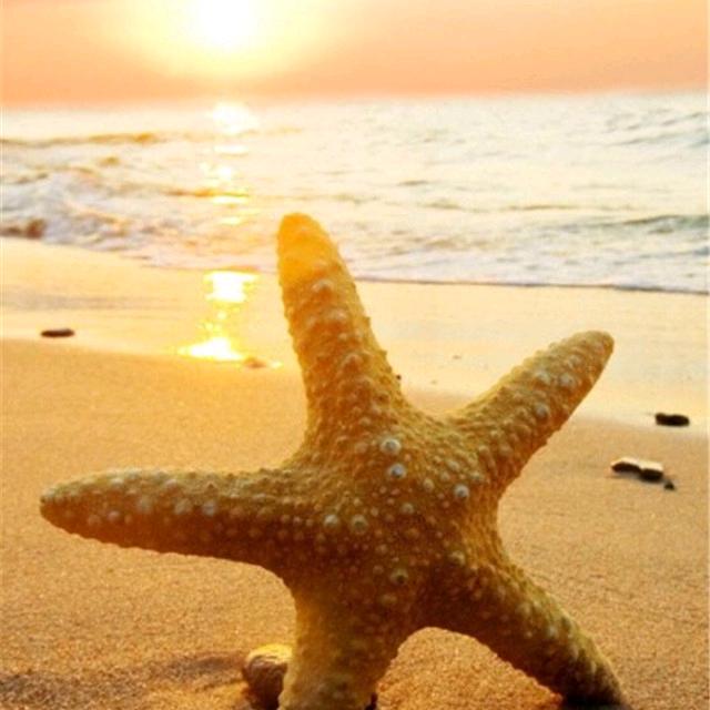 逆流的鱼