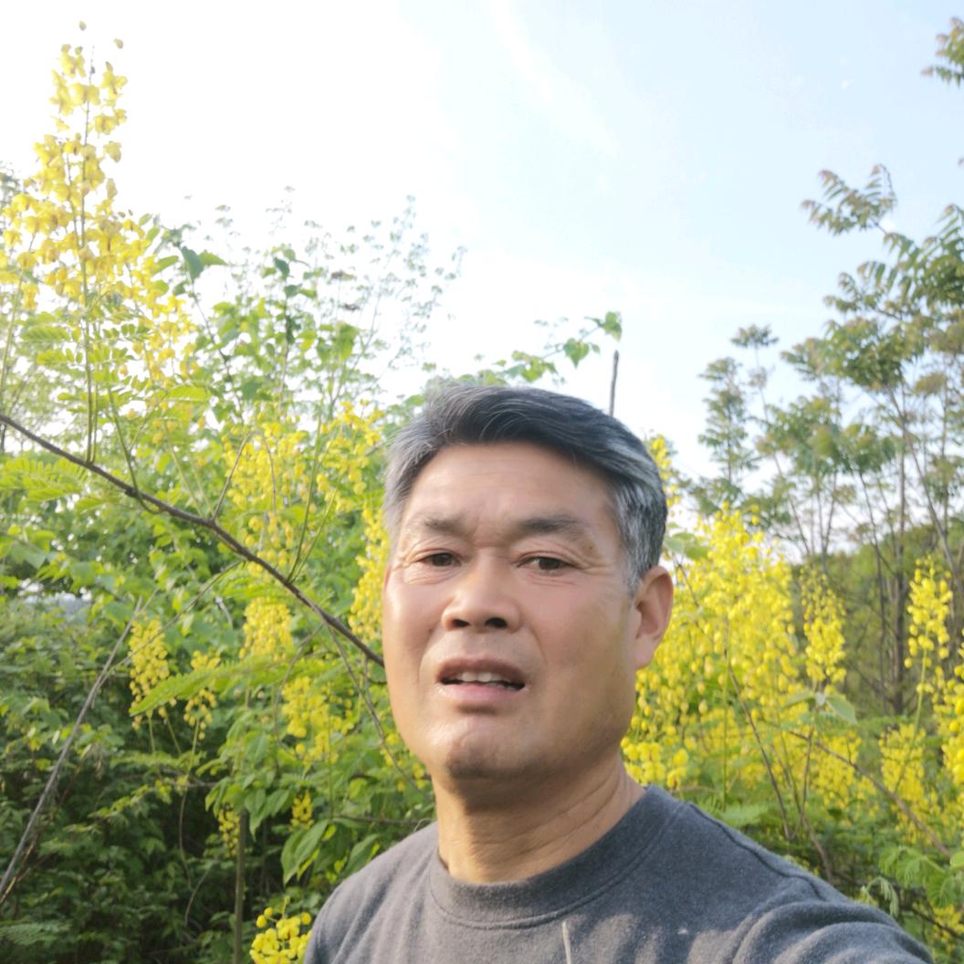 农村歌迷老尹