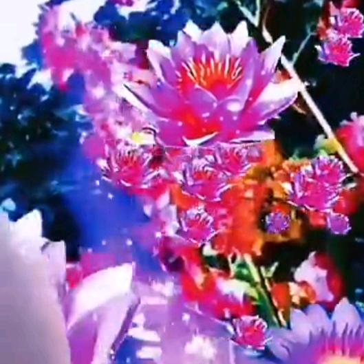 浪与矜持
