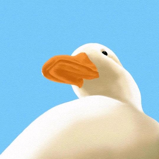 拉萨说故事