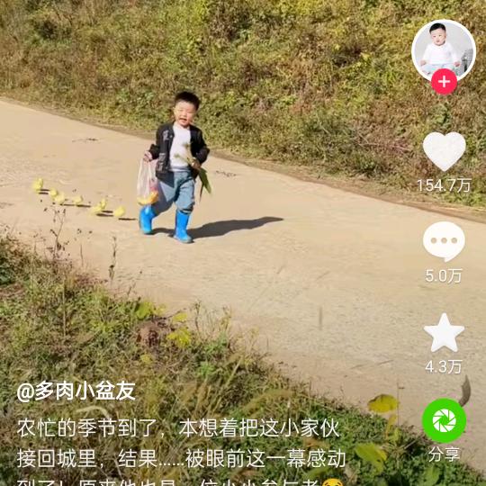 风若在，我便随风