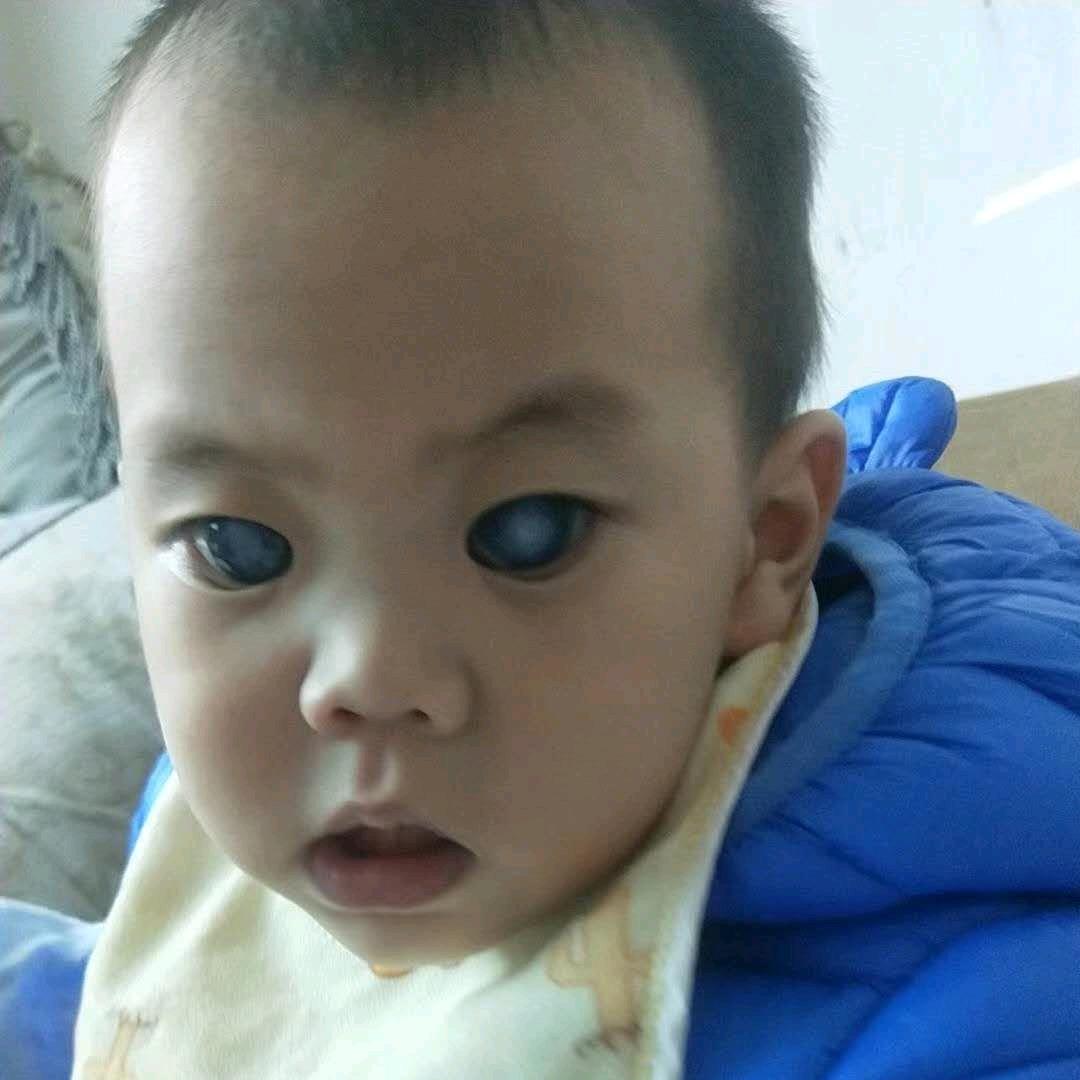 仔仔在努力哦