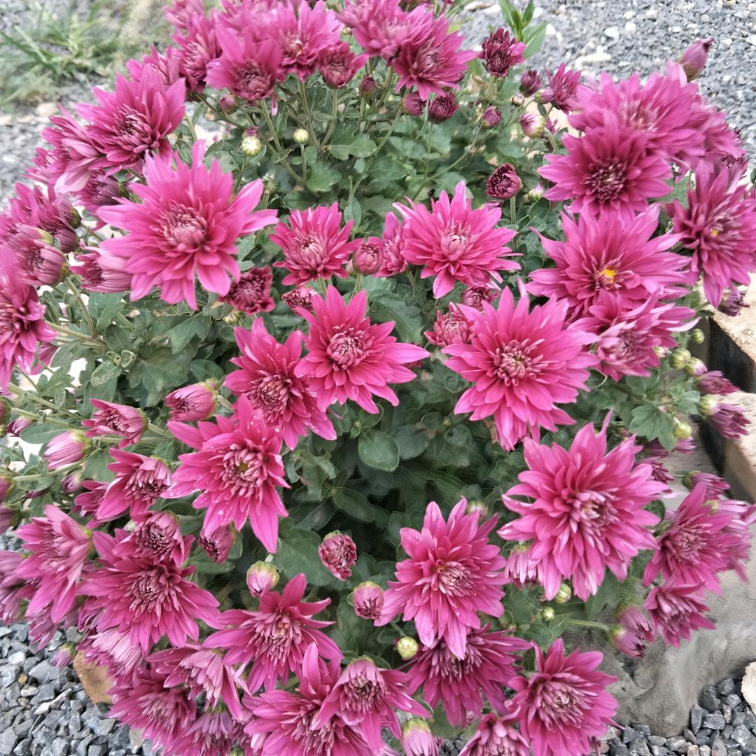 珍惜每时，每刻