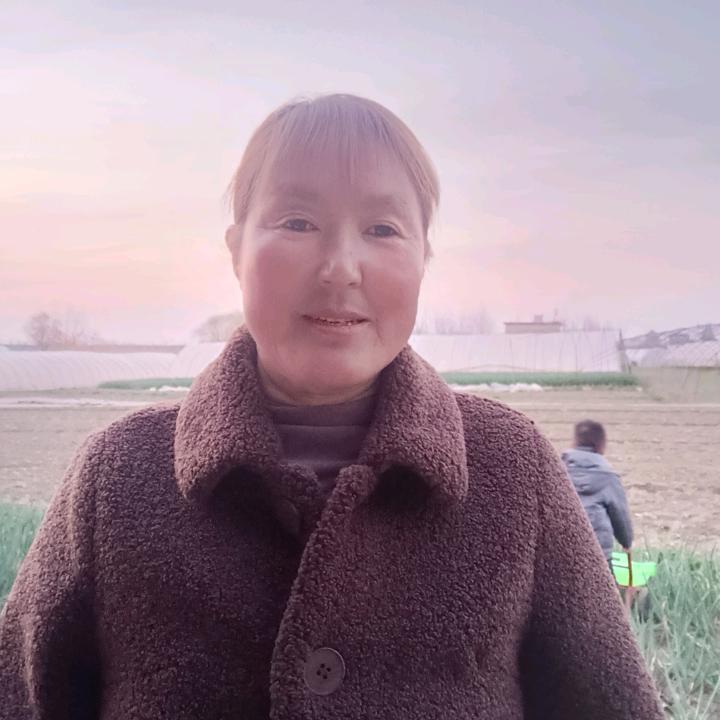 侠